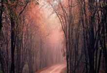 尼斯客场惨败巴黎FC，遭受沉重打击