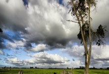 尤文图斯中场拉比奥特成功转会法甲豪门巴黎圣日耳曼