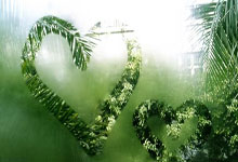 球队主帅谈及球员表现：全队发挥稳定、出色