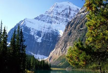 球队主帅谈及球员表现：全队发挥稳定、出色