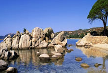 球队主帅谈及球员表现：全队发挥稳定、出色