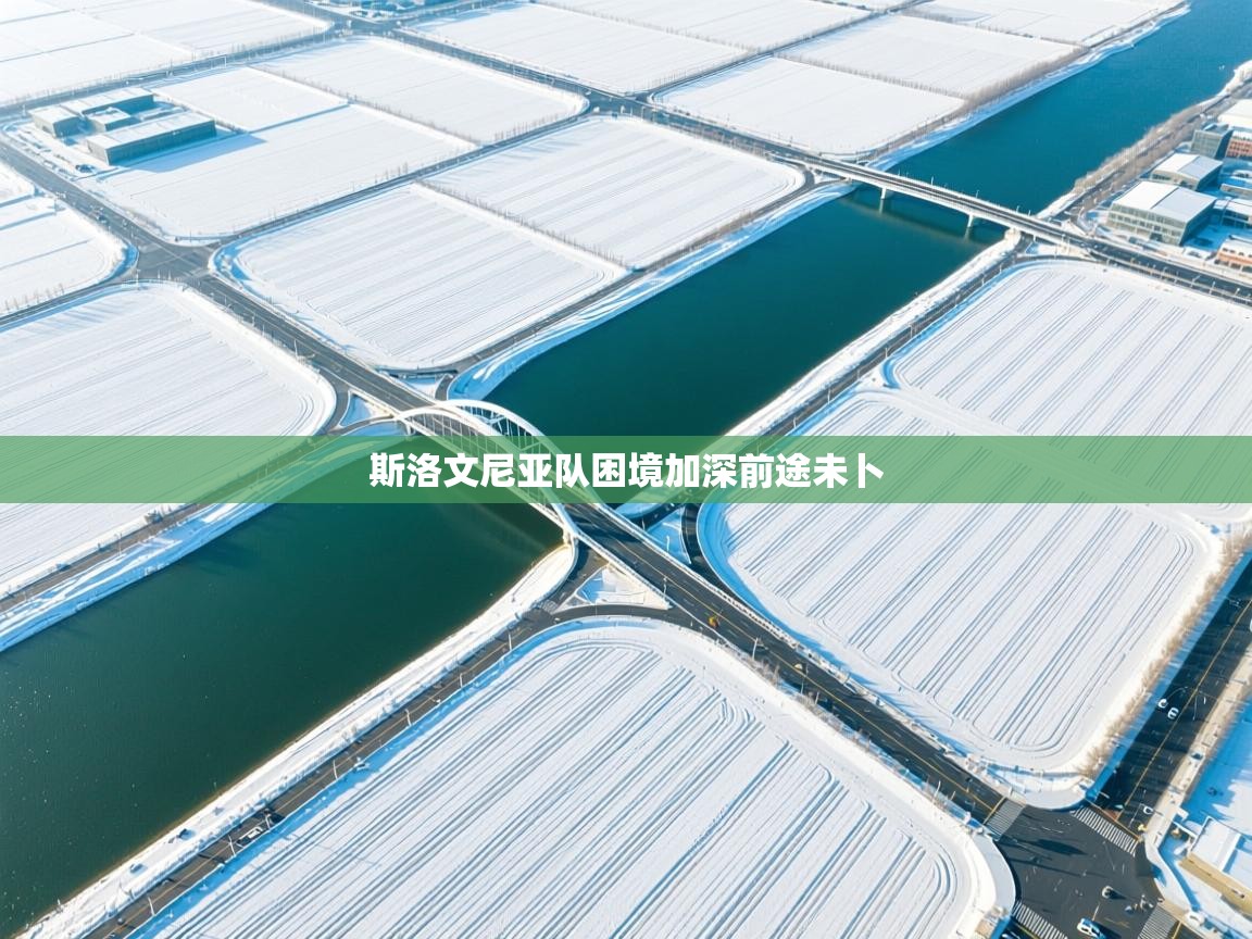 斯洛文尼亚队困境加深前途未卜  第1张