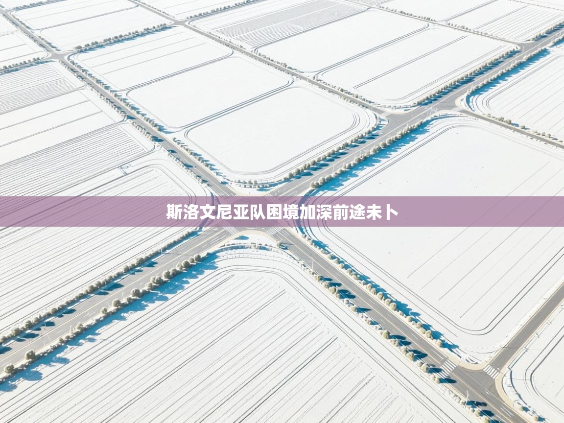 斯洛文尼亚队困境加深前途未卜  第2张