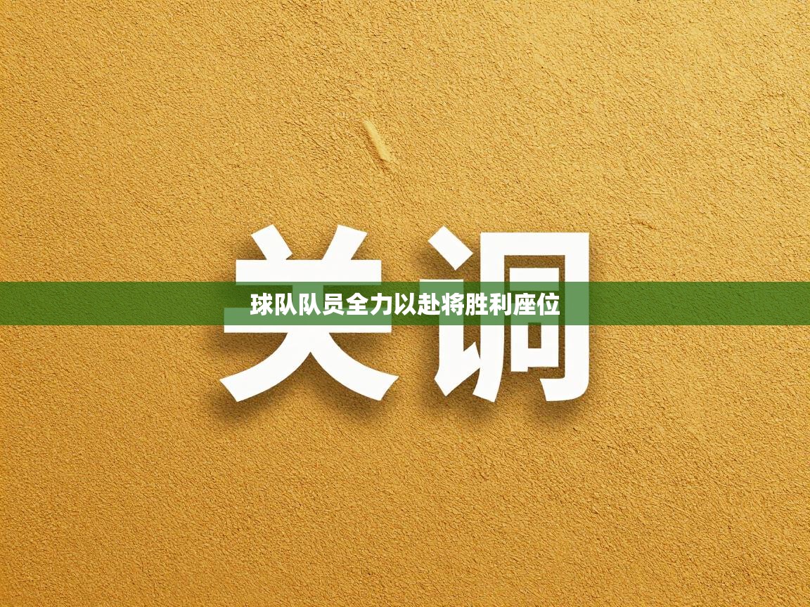 球队队员全力以赴将胜利座位  第2张