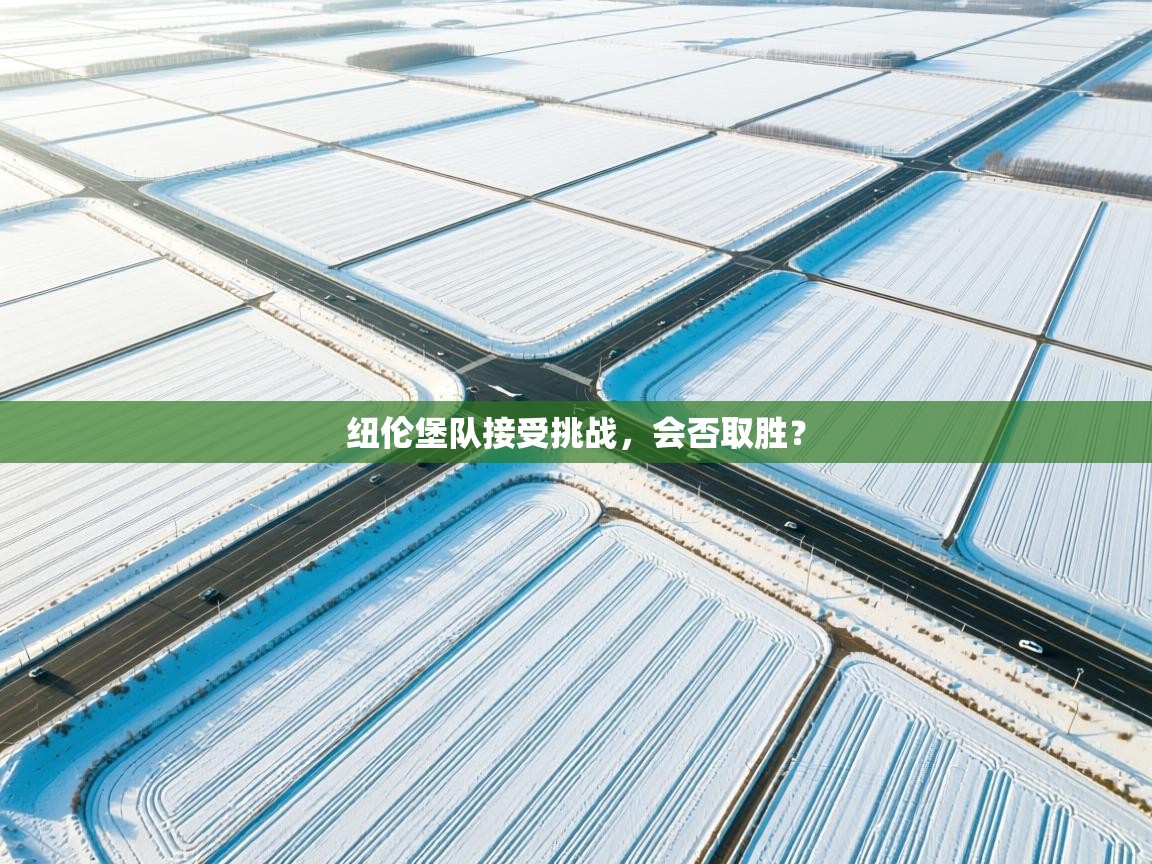 纽伦堡队接受挑战，会否取胜？