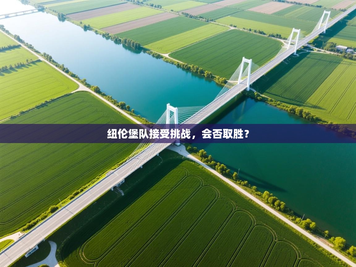 纽伦堡队接受挑战,会否取胜? 第2张